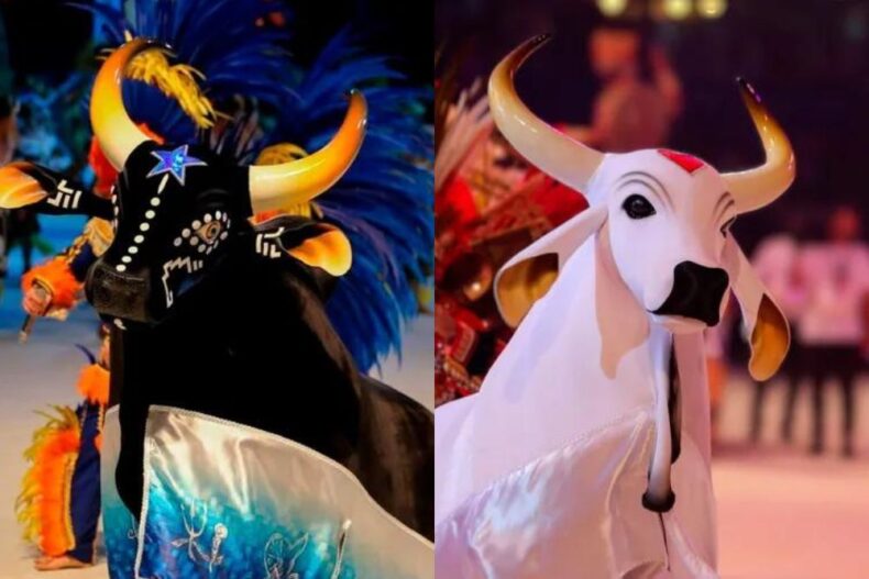 Festival de Parintins: Ordem das apresentações dos bois Caprichoso e Garantido é divulgada