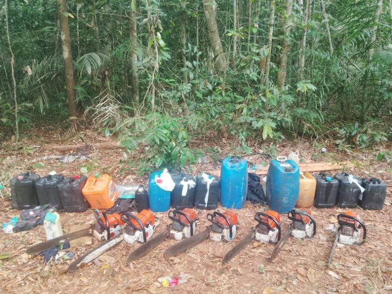 CRIMES AMBIENTAIS: Ipaam aplica multas e faz apreensões de equipamentos na Operação Curupira