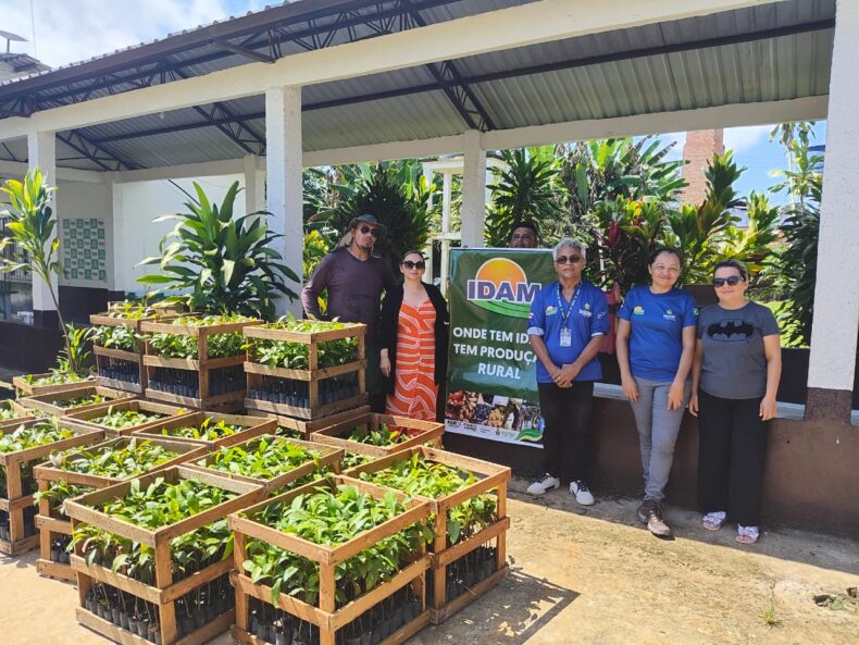 IDAM distribui 2,5 mil mudas de castanha a agricultores familiares de Beruri/AM