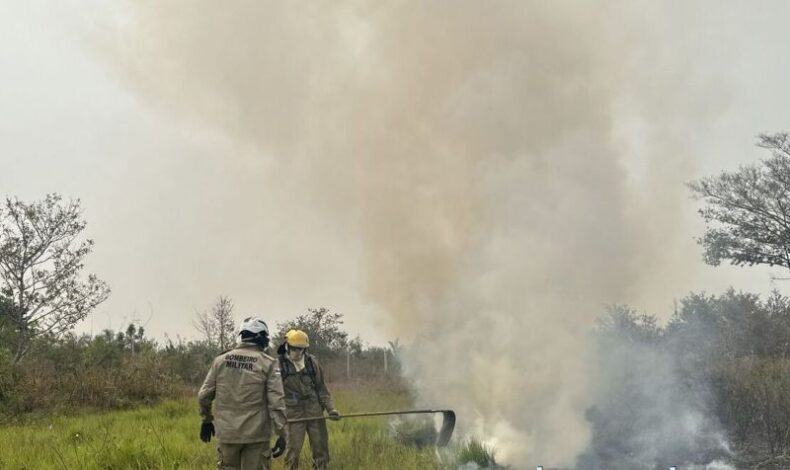 Em LÁBREA/AM, bombeiros combatem incêndio em vegetação nas proximidades do aeroporto