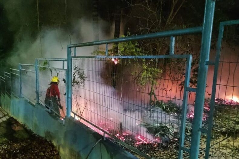 OPERAÇÃO CÉU LIMPO: Em Manaus, bombeiros combatem 14 incêndios em áreas de vegetação nas últimas 24 horas