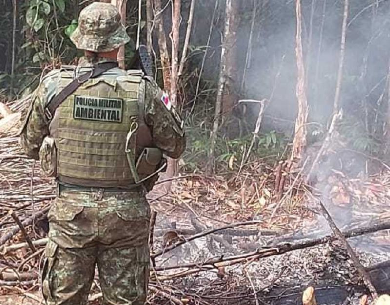 CIDADE: Casal é preso por fazer queimada ilegal no ramal Jerusalém, no KM 45 da rodovia AM-010
