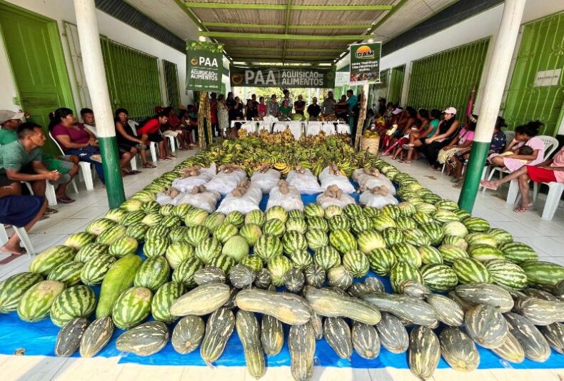 AM: Governo investiu mais de R$ 400 mil na compra de alimentos da agricultura indígena