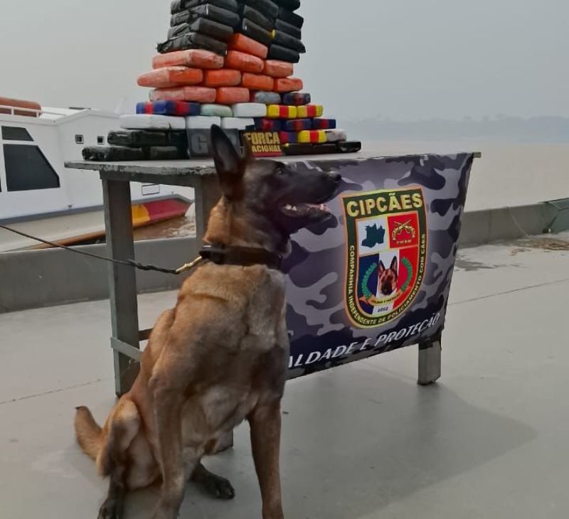 SSP_AM_MATERIAL_APREENDIDO_BA1_FOTOS_DIVULGAÇÃO_SSP_AM (1)-090