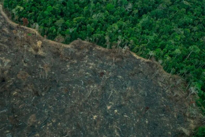 GERAL: Terra Indígena Karipuna de Rondônia tem cenário de incêndio e seca