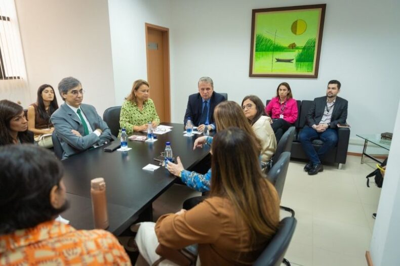 SAÚDE: Comitê Estadual de Saúde projeta ações para cumprimento de metas nacionais do ano de 2025