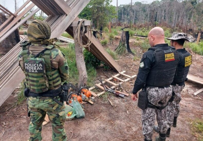 GERAL/PF deflagra nova operação contra desmatamentos e queimadas no SUL DO AMAZONAS