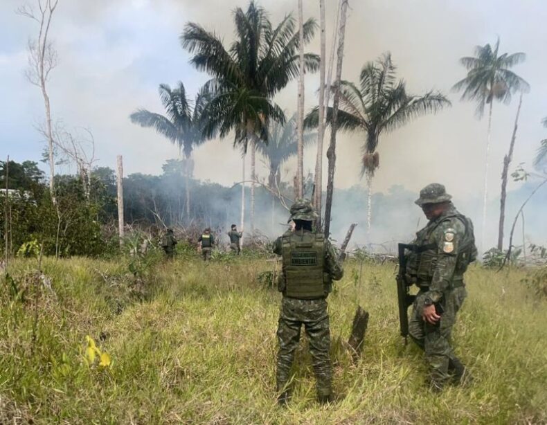 POLÍCIA MILITAR do Amazonas prende três homens envolvidos em crimes ambientais