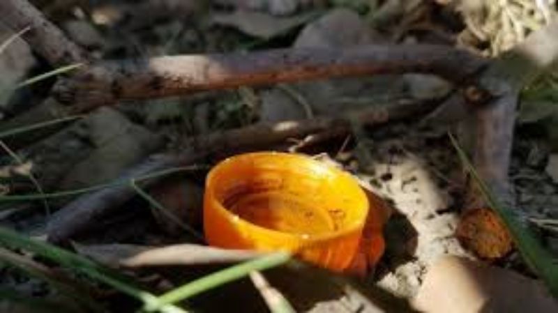 ARBOVIROSES: Novo plano de ação prevê reduzir impactos da dengue e outras arboviroses no Amazonas