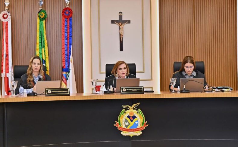 TCE-AM cria comitê para intensificar o enfrentamento às queimadas no AM