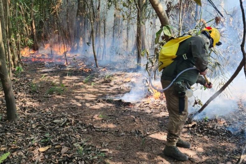 GERAL/Boletim ESTIAGEM: chega a 21,1 mil o número de focos de incêndio combatidos no Amazonas