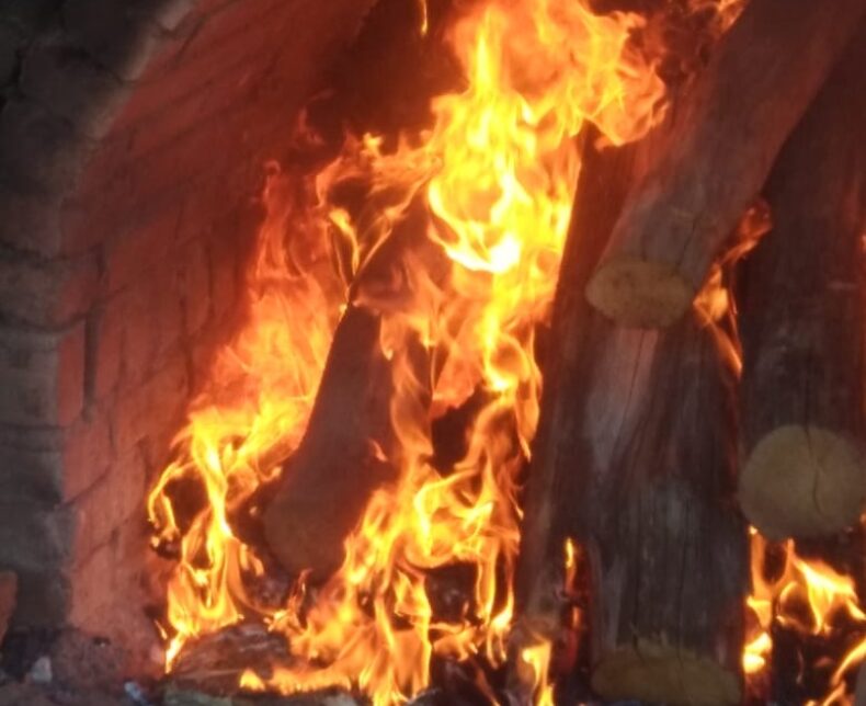 Amazonas/Polícia Civil incinera aproximadamente 200 Quilos de Drogas em Barcelos