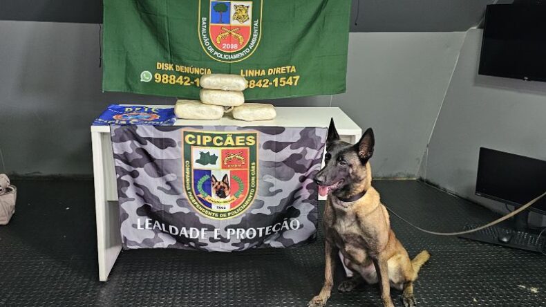 BASE ARPÃO 2: Mulher é presa com mais de 05 quilos de skunk escondidos dentro de mala, em Barcelos