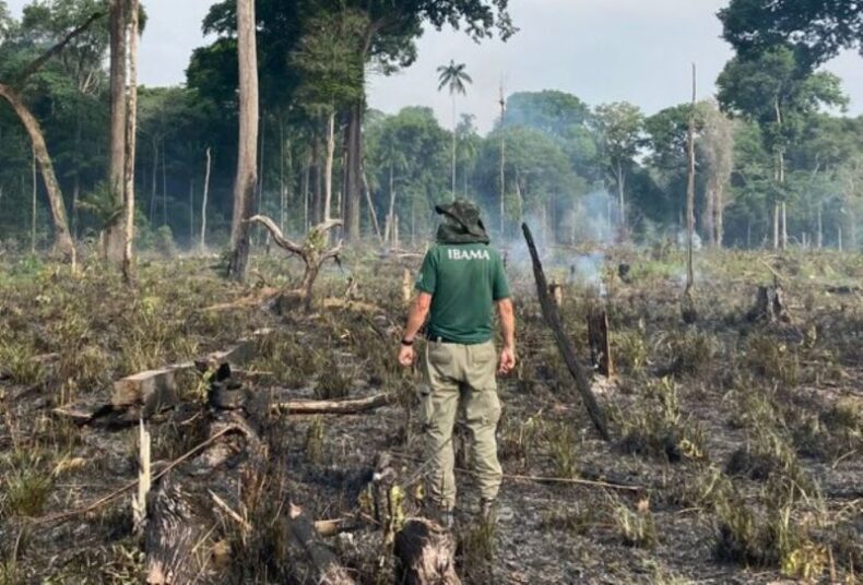 CIDADE/Desmatamento no AMAZONAS: fiscalização aplica mais de R$ 1 milhão em multa