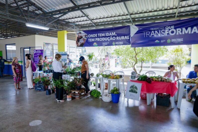 CIDADE/Governo do AM promove mutirão de serviços, neste sábado, em Manacapuru