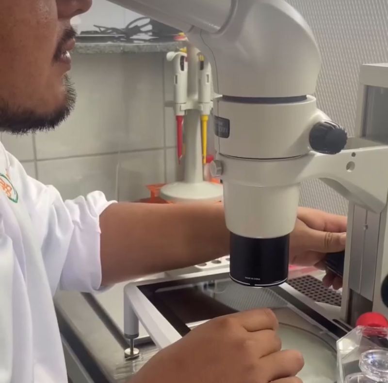 ECONOMIA/Parintins Agropecuária apresenta tecnologias para criação de animais adaptados ao clima amazônico