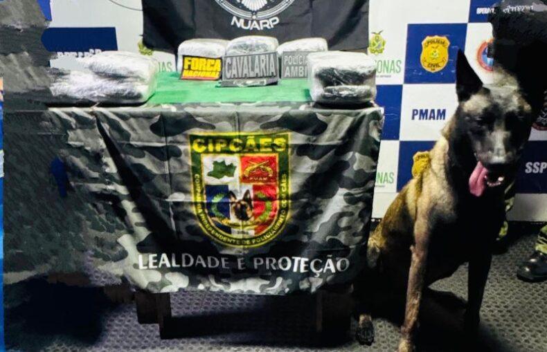 Base Arpão 1/PMAM apreende mais de R$ 270 mil em drogas escondidas dentro de malas