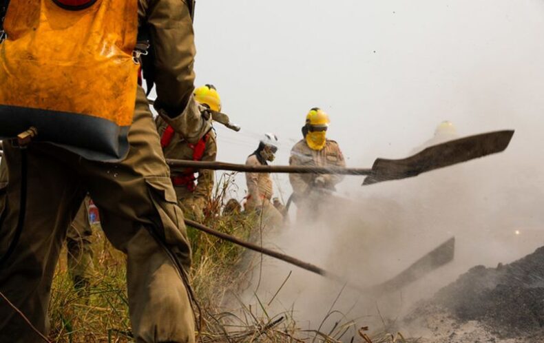 GERAL/BOMBEIROS combateram 2.758 incêndios em Manaus e 19.981 no interior do Estado; veja o Boletim Estiagem