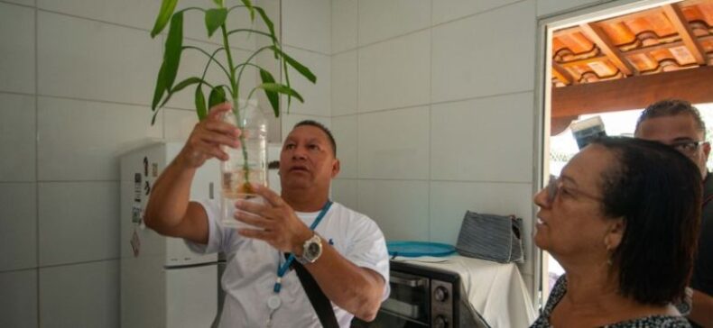 SAÚDE/Ministério da Saúde convoca a população para o Dia D de mobilização contra a DENGUE