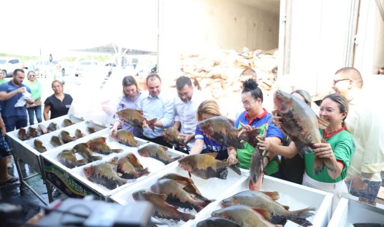 GERAL/AMAZONAS promove mutirão de financiamento a pescadores artesanais em Manacapuru e Itacoatiara