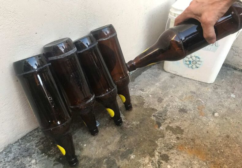 SAÚDE/AMAZONAS divulga informe epidemiológico de arboviroses no ESTADO