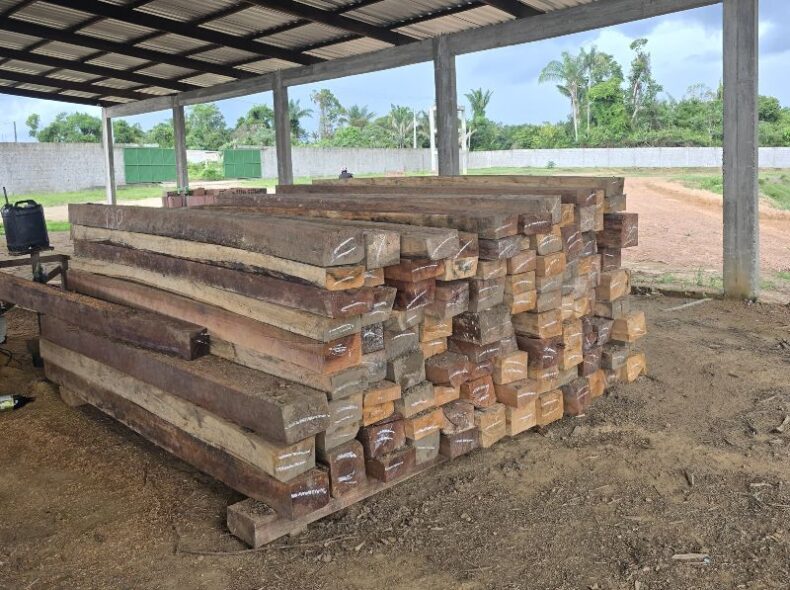 GERAL/Polícia Militar/AM apreende madeiras ilegais em serraria clandestina em Manacapuru