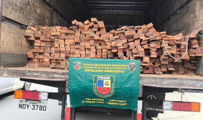 GERAL/Polícia Militar do Amazonas prende dois homens por envolvimento em CRIME AMBIENTAL