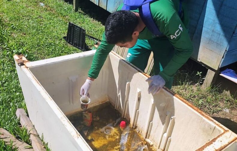 CIDADE/Desde o início do ano, Amazonas confirma 344 casos de DENGUE e 05 de CHIKUNGUNYA