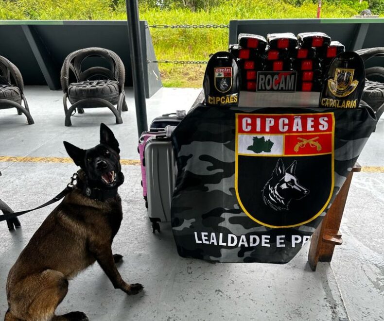 GERAL/Base Arpão 1: Cadela Athena auxilia na localização de 30 quilos de cocaína escondidos em bagagem de barco vindo de Tabatinga