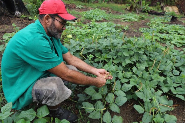 ECONOMIA/Pagamento do GARANTIA SAFRA para 375 agricultores familiares de Guajará e Envira começou nesta terça-feira (18/03)