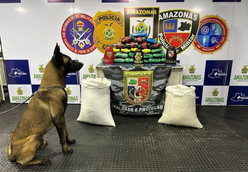 SEGURANÇA/BASE ARPÃO 3: Polícia apreende 36 quilos de DROGAS em sacos com farinha