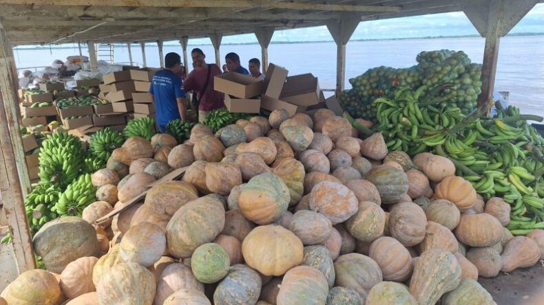 GERAL/OPERAÇÃO CHEIA 2025: Governo do Amazonas adquire 25 toneladas de alimentos em Manacapuru