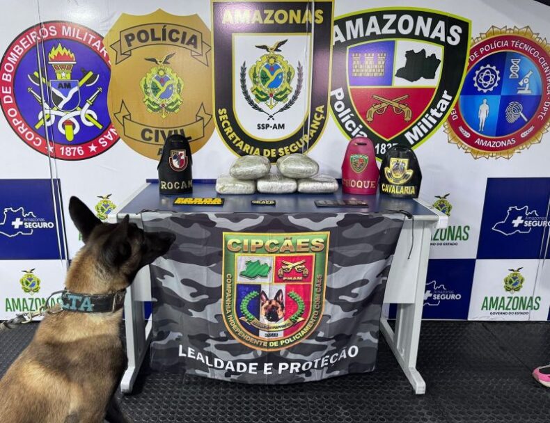 PRISÃO_MULHER_BASE_ARPÃO_FOTO_DIVULGAÇÃO_SSP_AM-080