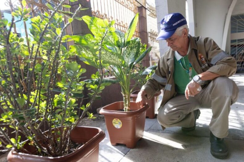 CIDADE/Manaus soma 634 casos de DENGUE no ano, segundo dados da 20ª semana epidemiológica