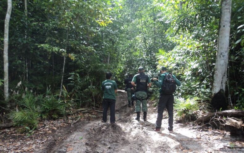 MEIO AMBIENTE/RELATÓRIO ANUAL de Desmatamento 2024 destaca efetividade das ações de fiscalização do IPAAM no Amazonas