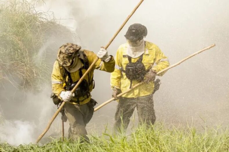 MEIO AMBIENTE/Governo autoriza contratação de brigadas federais pelo PREVFOGO para atuar em dezenas de municípios
