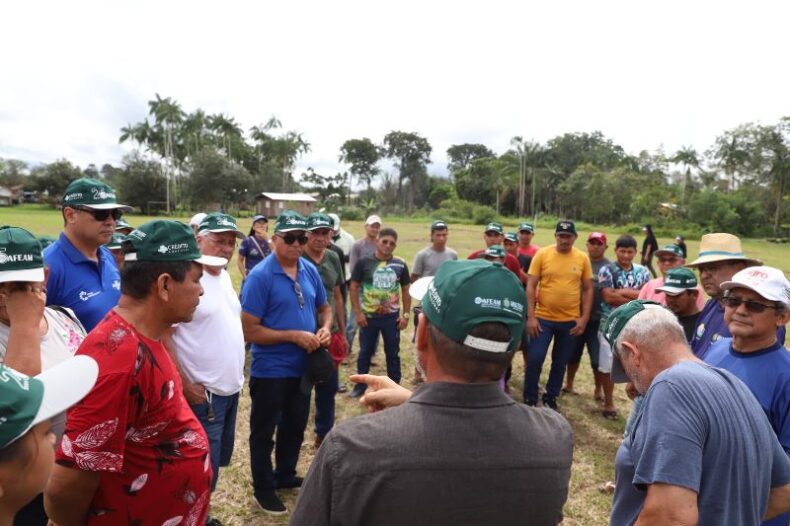 GERAL/Liberados mais de R$ 1 milhão em investimentos para fortalecer AGRICULTURA FAMILIAR em Manacapuru