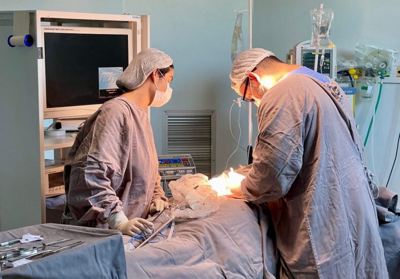 SAÚDE/Em quatro meses, HOSPITAL 28 de AGOSTO realizou mais de 3,7 mil cirurgias de média e alta complexidade