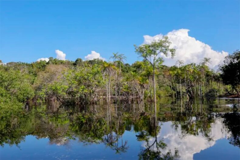 CIDADE/SOCIEDADE vai discutir 100 PROPOSTAS na 5ª Conferência Nacional do Meio Ambiente