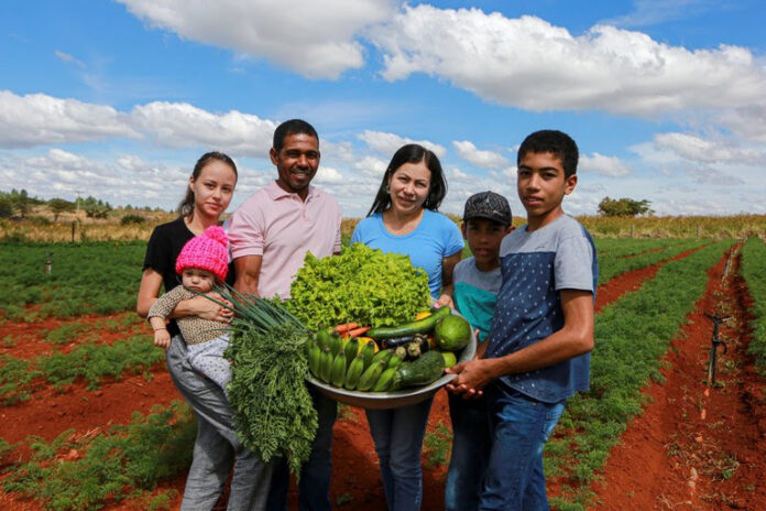 Crescimento do microcrédito alcança beneficiários em todo o país cada família consegue acessar até R$ 35 mil por meio do Pronaf B Foto Albino Oliveira AscomMDA