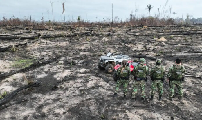 O objetivo é ampliar a capacidade de prevenção e resposta do Brasil frente aos crimes ambientais Foto Polícia Federal Divulgação