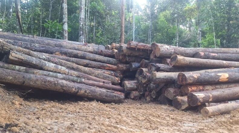 MEIO AMBIENTE/IPAAM aplica R$ 740 mil em multas por crimes ambientais na Região Metropolitana