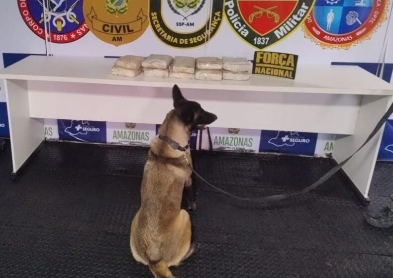 SSP-AM_APREENSÃO_DROGAS_FOTOS_DIVULGAÇÃO_SSP_SM (1)-098