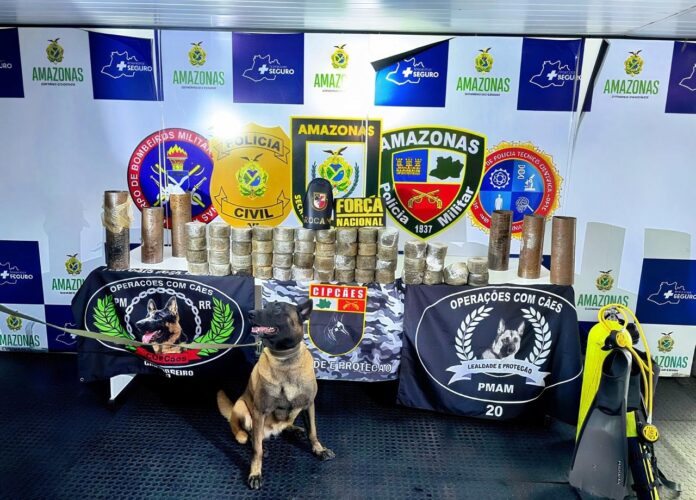 BASE_ARPÃO_3_CADELA_POLICIAL_LOCALIZA_ENTORPECENTES_ARMAZENADOS_NO_INTERIOR_DE_CILINDROS_DE_AÇO_FOTO_DIVULGAÇÃO_SSP_AM