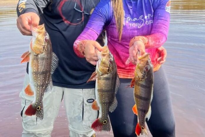 Temporada-de-pesca-esportiva-Ipaam-reforca-necessidade-de-regularizacao-para-empreendedores-e-pescadores (1)