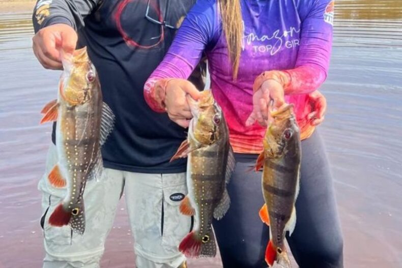 GERAL/Temporada de PESCA ESPORTIVA: IPAAM reforça necessidade de regularização para empreendedores e pescadores