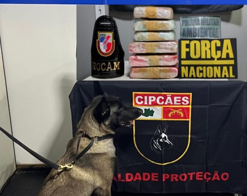 GERAL/BASE ARPÃO: Mãe e filha são presas em embarcação com drogas escondidas nos corpos