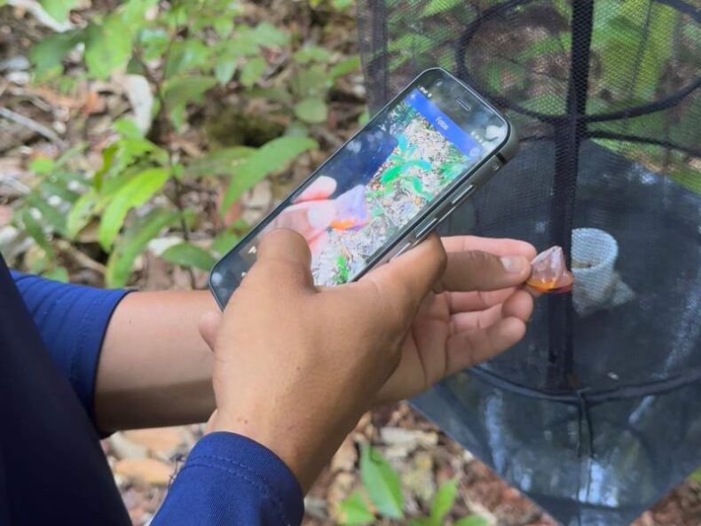 GERAL/No Amazonas, Governo do Estado realiza MONITORAMENTO da BIOIVERIAE em Unidades de Conservação da BR-319