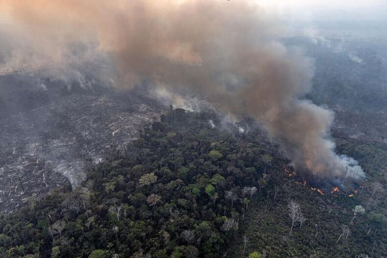 MEIO AMBIENTE/Defensoria Pública monitora a situação das QUEIMADAS no Amazonas