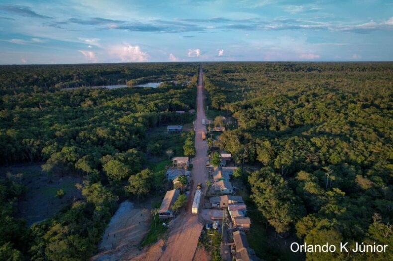 GERAL/DIA da AMAZÔNIA: fiscalização para a integridade do bioma precisa ser reforçada, alerta especialista